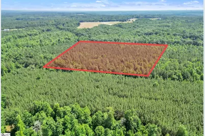 00 Simpson Mill Road, Laurens, SC 29360 - Photo 3