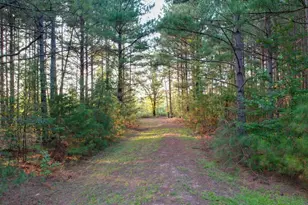 200 Lowe Ln, Inman, SC 29349 - Photo 43
