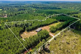 261 Fox Rd, Abbeville, SC 29620 - Photo 41