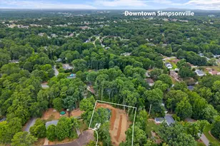 5 Chickamauga Ln, Simpsonville, SC 29681 - Photo 43