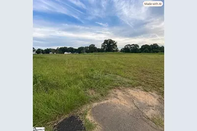 00 Echange Drive, Laurens, SC 29360 - Photo 3