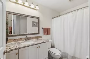 307 Stone River Way, Taylors, SC 29687 - Photo 29