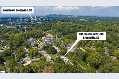 601 Cleveland Street #Apt 3D, Greenville, SC 29601 - Photo 31
