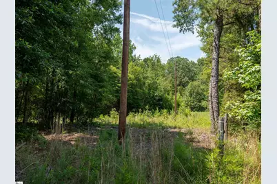 00 Cheek Road #Lot 1, Gray Court, SC 29645 - Photo 21