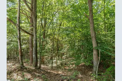 00 Cheek Road #Lot 1, Gray Court, SC 29645 - Photo 23