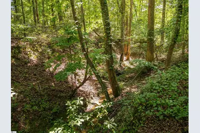 00 Cheek Road #Lot 3, Gray Court, SC 29645 - Photo 21