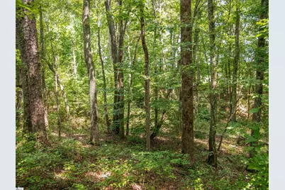 00 Cheek Road #Lot 3, Gray Court, SC 29645 - Photo 19