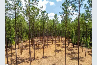00 Cheek Road #Lot 8, Gray Court, SC 29645 - Photo 13