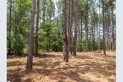 00 Cheek Road #Lot 8, Gray Court, SC 29645 - Photo 17