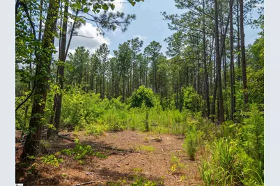 00 Cheek Road #Lot 8, Gray Court, SC 29645 - Photo 21
