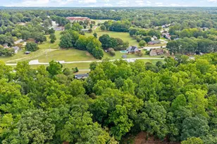 20 Driftwood Ln, Taylors, SC 29687 - Photo 41