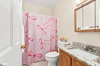 209 Sandstone Drive, Taylors, SC 29687 - Photo 29
