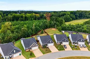 1180 Mason Hill Wy, Spartanburg, SC 29301 - Photo 45