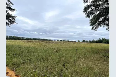 00 Melrosa Lane, Springfield, SC 29146 - Photo 19