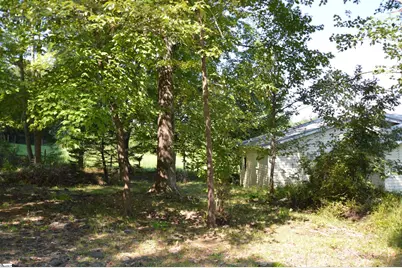 1183 Sandy Plains Road, Tryon, NC 28782 - Photo 7