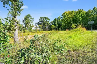 110 Spivey Creek Road, Landrum, SC 29356 - Photo 5