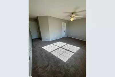 46 Hayfield Lane, Greer, SC 29650 - Photo 17