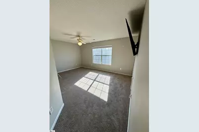 46 Hayfield Lane, Greer, SC 29650 - Photo 13