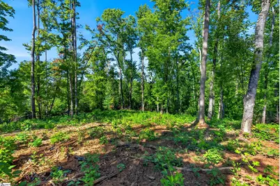 520 Chinquapin Road, Travelers Rest, SC 29690 - Photo 13