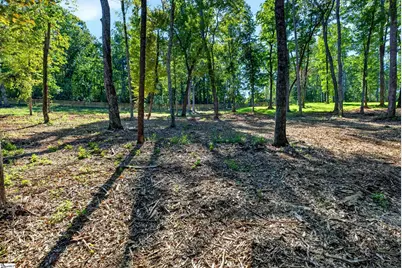 540 Chinquapin Road, Travelers Rest, SC 29690 - Photo 9