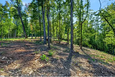 540 Chinquapin Road, Travelers Rest, SC 29690 - Photo 17