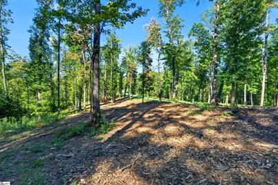 540 Chinquapin Road, Travelers Rest, SC 29690 - Photo 19
