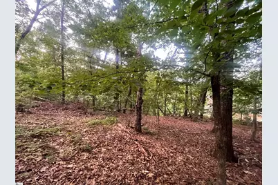 0 Craig Lane Lot #1, Salem, SC 29676 - Photo 5