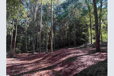 9 Starview Road, Travelers Rest, SC 29609 - Photo 3
