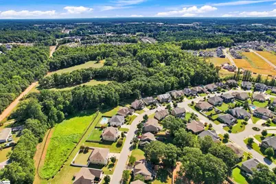 31 Belgian Blue Way, Fountain Inn, SC 29644 - Photo 35