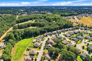31 Belgian Blue Way, Fountain Inn, SC 29644 - Photo 35