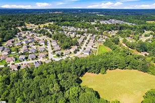 31 Belgian Blue Way, Fountain Inn, SC 29644 - Photo 37