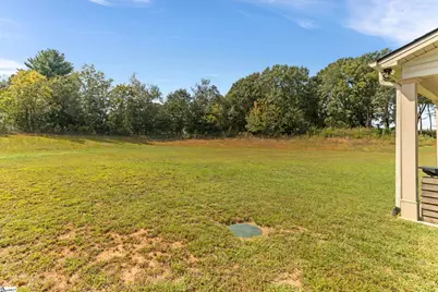 6119 Tributary Way, Chesnee, SC 29323 - Photo 41