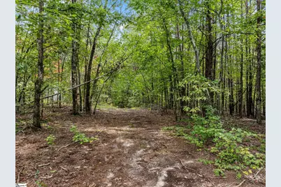 360 Greenwood Road, Landrum, SC 29356 - Photo 37