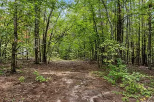 360 Greenwood Rd, Landrum, SC 29356 - Photo 37