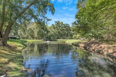 321 Mockingbird Hill, Greenville, SC 29605 - Photo 25