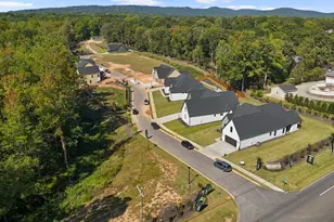 6 Aetna Springs Ct, Taylors, SC 29687 - Photo 49