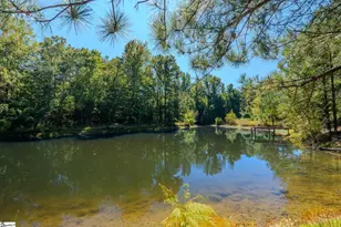 1298 Boggy Branch Rd, Woodruff, SC 29388 - Photo 37