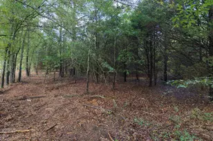 02 Owens Dr, Laurens, SC 29360 - Photo 1