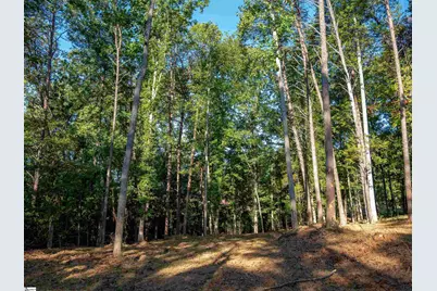 0 Woodall Road #Lot A, Greenville, SC 29617 - Photo 5