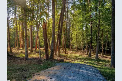 0 Woodall Road #Lot A, Greenville, SC 29617 - Photo 3