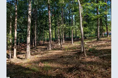 0 Woodall Road #Lot A, Greenville, SC 29617 - Photo 7