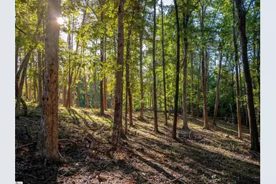 0 Woodall Road #Lot A, Greenville, SC 29617 - Photo 9