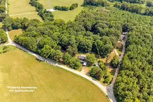 74 Double H Farm Rd, Donalds, SC 29638 - Photo 33