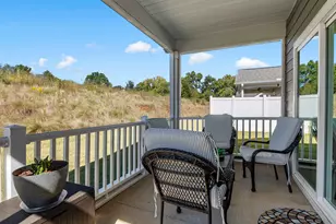 219 Green River Way, Greenville, SC 29607 - Photo 39