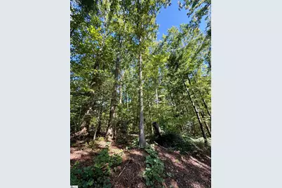 1100 Tugaloo Road, Landrum, SC 29356 - Photo 15