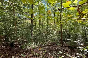 1100 Tugaloo Rd, Landrum, SC 29356 - Photo 5