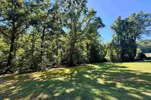 1100 Tugaloo Rd, Landrum, SC 29356 - Photo 17