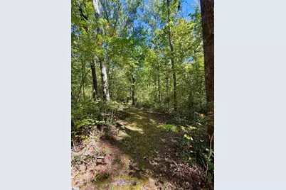 1100 Tugaloo Road, Landrum, SC 29356 - Photo 9