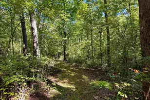 1100 Tugaloo Rd, Landrum, SC 29356 - Photo 9