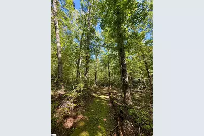 1100 Tugaloo Road, Landrum, SC 29356 - Photo 11